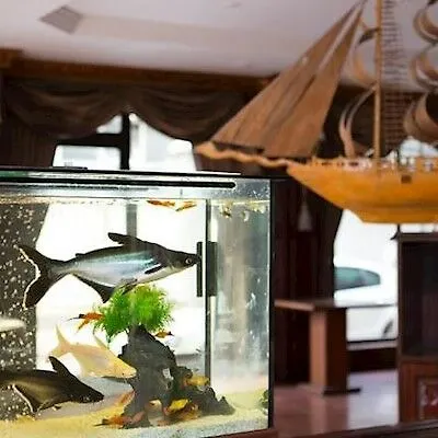 فندق بيوك حميد اسطنبول